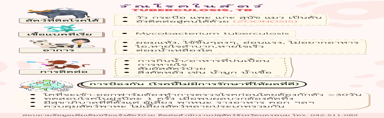 วัณโรคในสัตว์ TUBERCULOSIS,TB