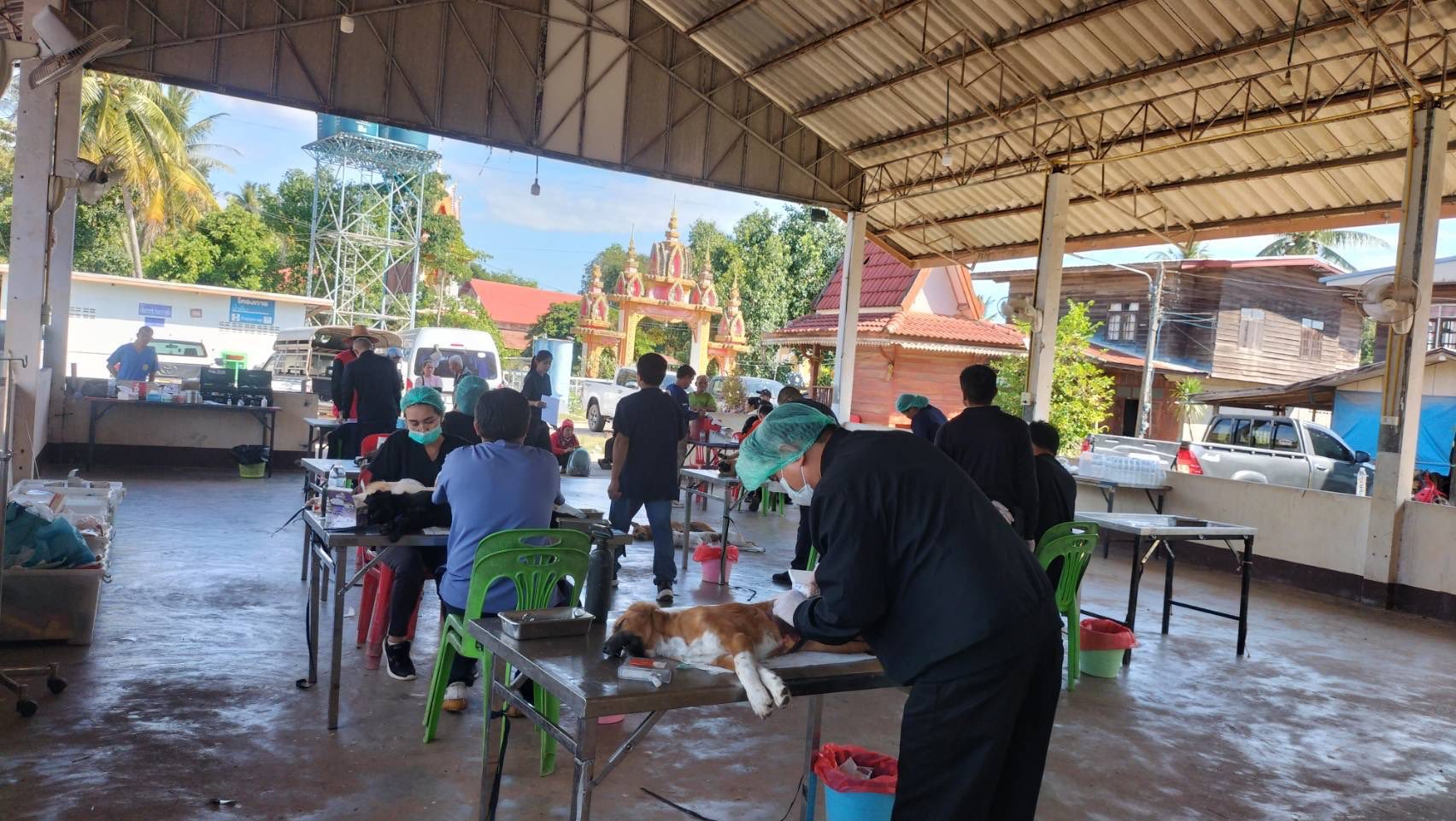 598670951 2365603163869550 4716860709149317615 n