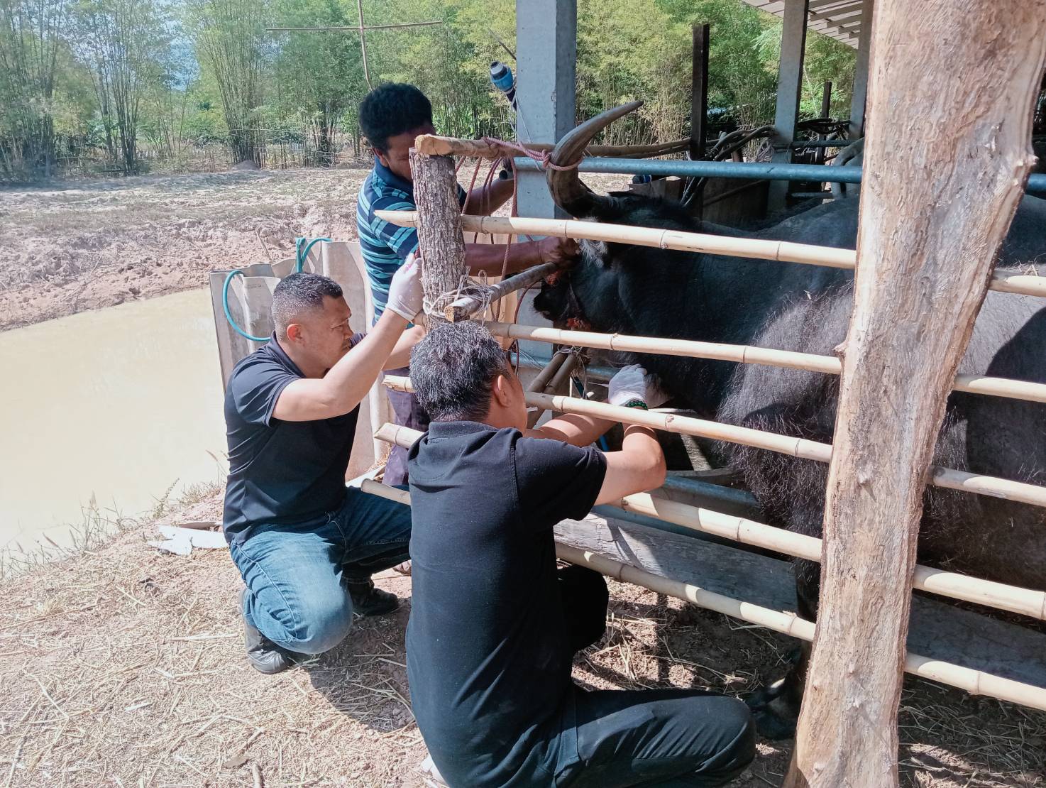 618239213 2398161797280353 3186058140910750646 n