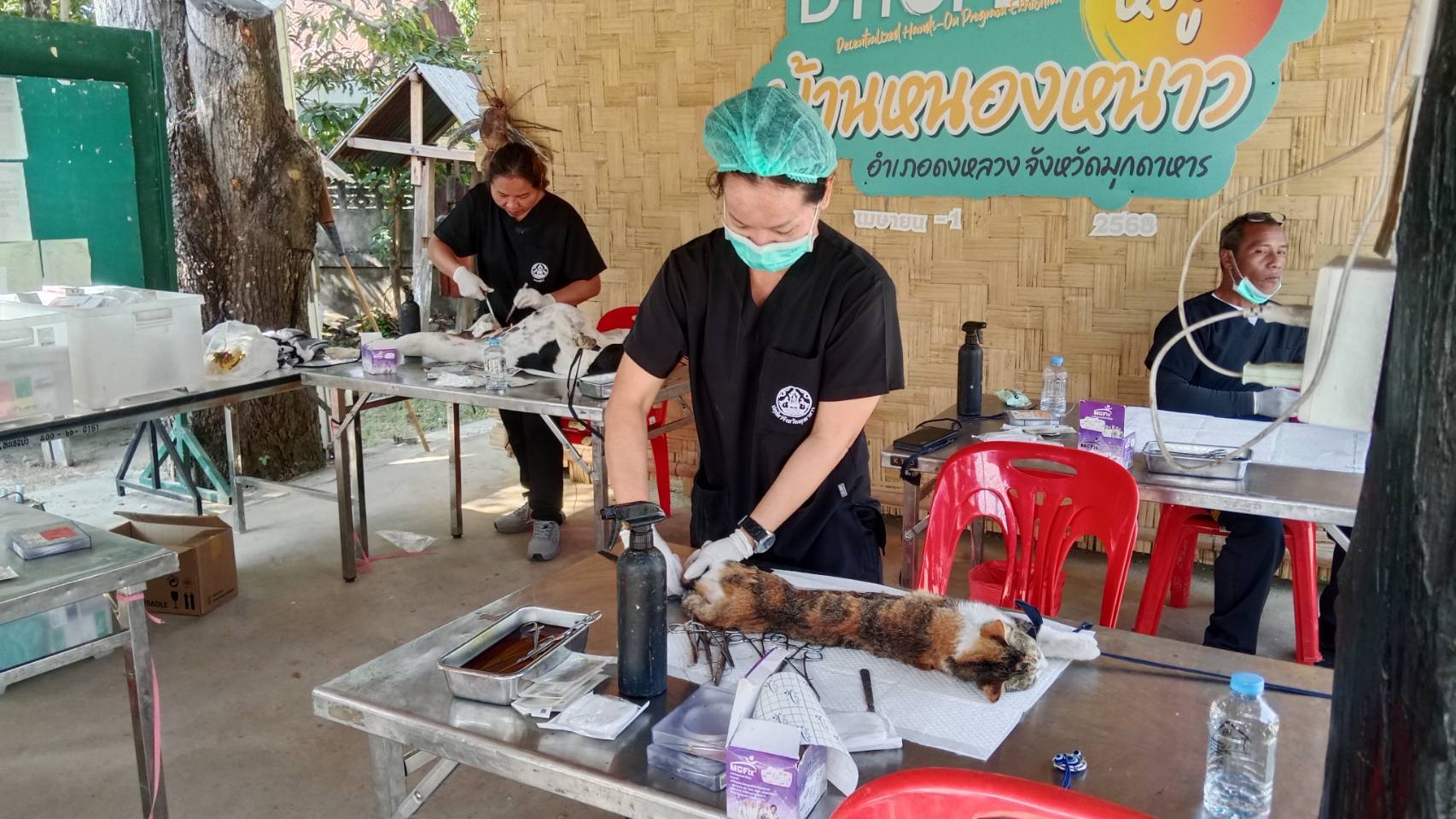 616154143 2398223340607532 7529015482851390759 n