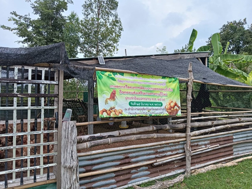 NBL07092569 01 01