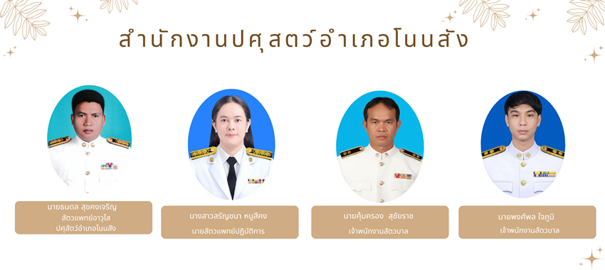 amp3903 13072569