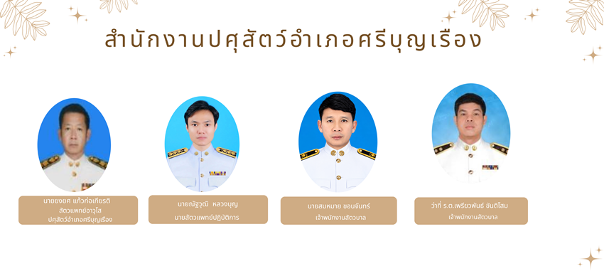 amp3904 02 21092569
