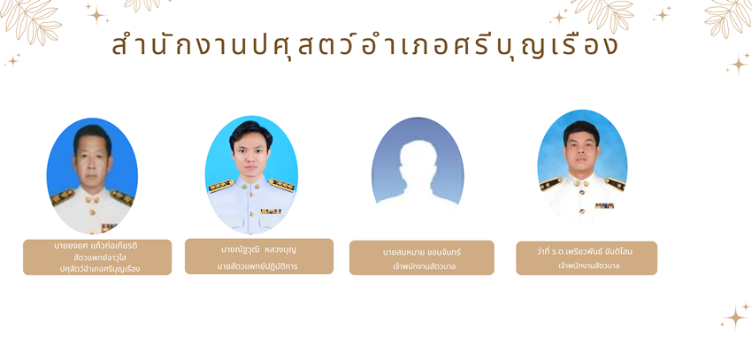 amp3904 062569