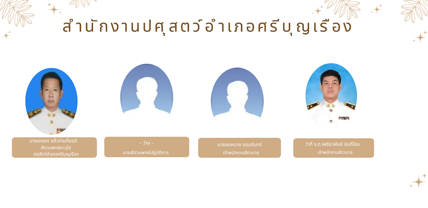 amp3904 230469
