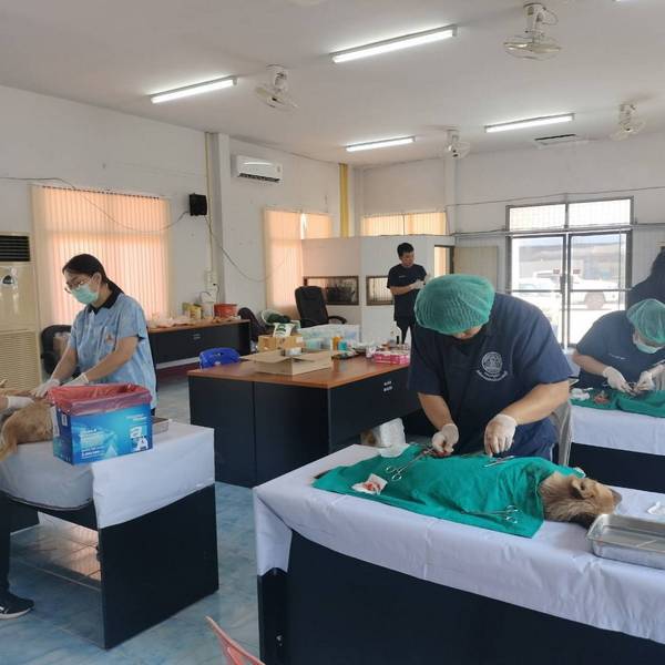 โครงการความร่วมมือการรณรงค์ป้องกันโรคพิษสุนัขบ้า ประจำปีงบประมาณ พ.ศ 2569