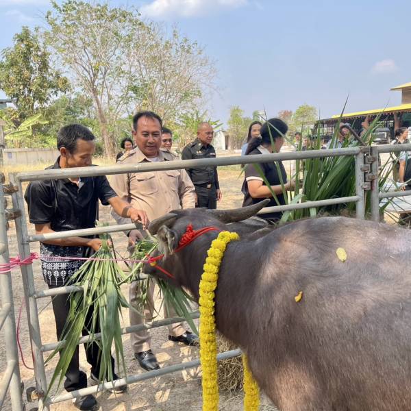 ปศุสัตว์จังหวัดร้อยเอ็ด 