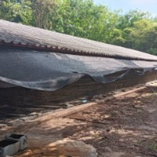 ปศุสัตว์อำเภอบ้านผือ ออกติดตามมาตรฐานฟาร์มเลี้ยงไก่และอนุญาตนำไก่เข้าเลี้ยงใหม่  ณ กนกวรรณฟาร์ม