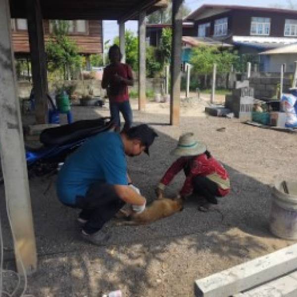 ปศุสัตว์อำเภอเมืองอุดรธานี ดำเนินการลงพื้นที่ฉีดวัคซีนป้องกันโรคพิษสุนัขบ้าในสัตว์บริเวณรอบจุดเกิดโรค จำนวน 4 หมู่บ้าน