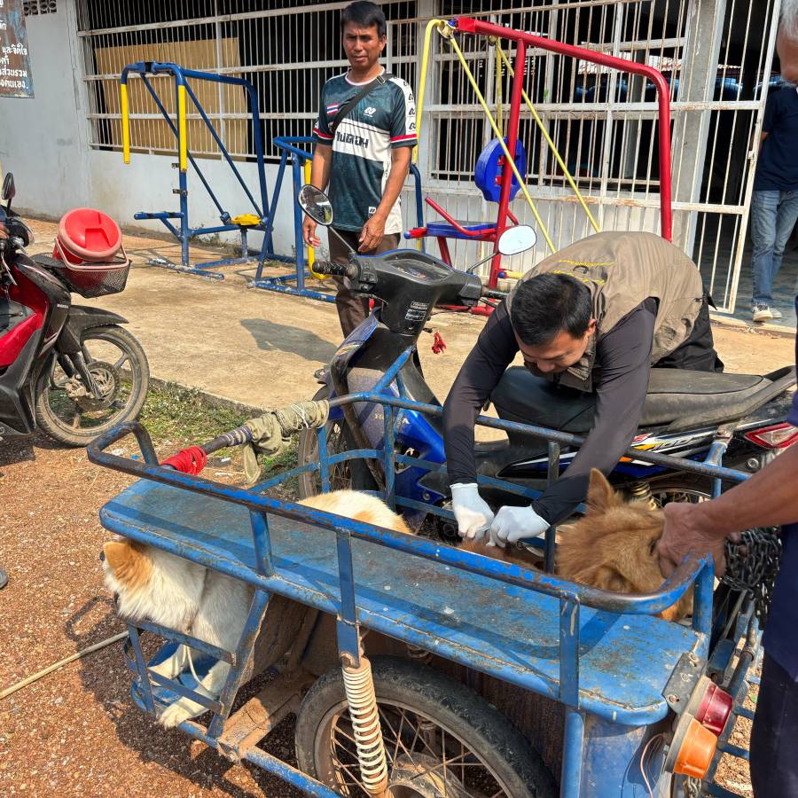 สำนักงานปศุสัตว์เขต 4 ร่วมปฏิบัติงานการควบคุมโรคพิษสุนัขบ้าในสัตว์ในพื้นที่อำเภอน้ำพอง จังหวัดขอนแก่น