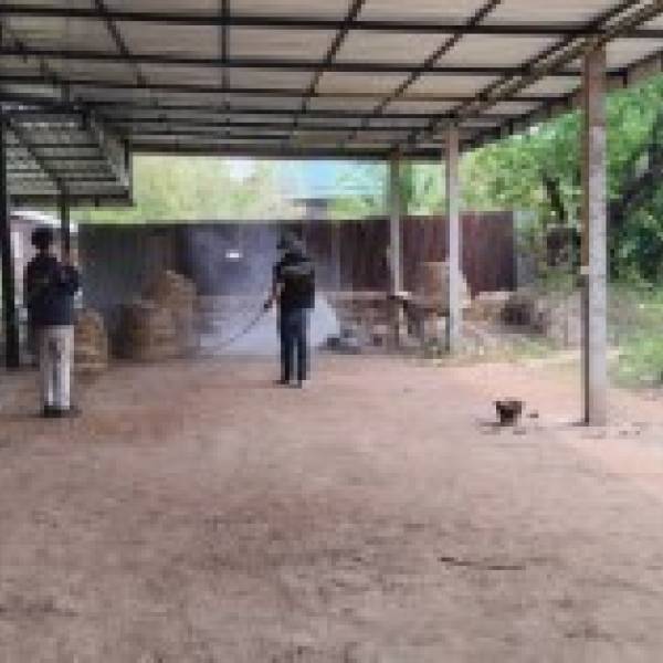 ปศุสัตว์อำเภอเมืองอุดรธานี ร่วมกับด่านกักกันสัตว์อุดรธานี ปฏิบัติงานฉีดพ่นน้ำยาฆ่าเชื้อโรค พร้อมกับมอบเวชภัณฑ์ยาฆ่าเชื้อให้สนามชนไก่ 2 แห่ง 