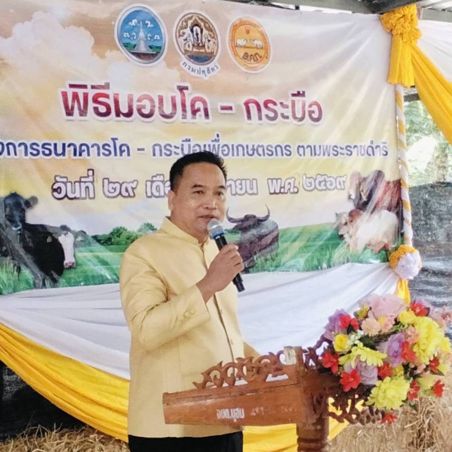 ปศุสัตว์จังหวัดเลย จัดพิธีมอบโคในโครงการธนาคารโค-กระบือเพื่อเกษตรกร ตามพระราชดำริ อ.เชียงคาน จ.เลย