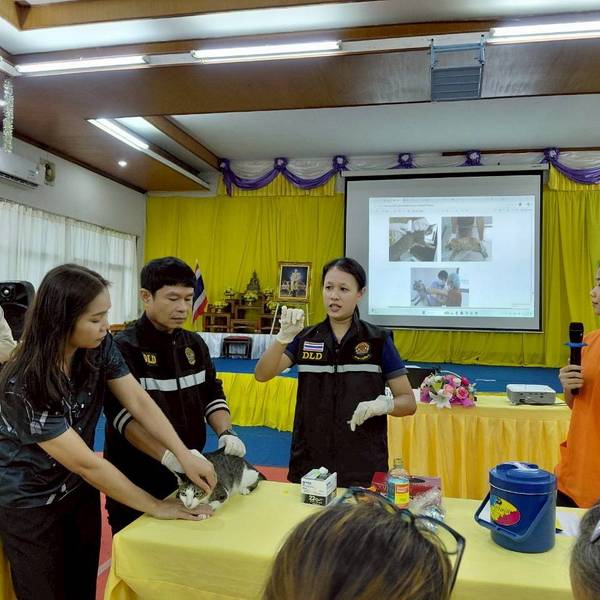 โครงการฝึกอบรมอาสาปศุสัตว์ สำหรับการดำเนินการออกฉีดวัคซีนป้องกันโรคพิษสุนัขบ้า ตามโครงการความร่วมมือรณรงค์ป้องกันโรคพิษสุนัขบ้า ในพื้นที่อำเภอส่องดาว ประจำปี พ.ศ. 2569