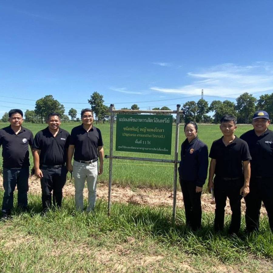 ตรวจรับรองใหม่ปศุสัตว์อินทรีย์ระบบพืชอาหารสัตว์อินทรีย์ จังหวัดมหาสารคาม