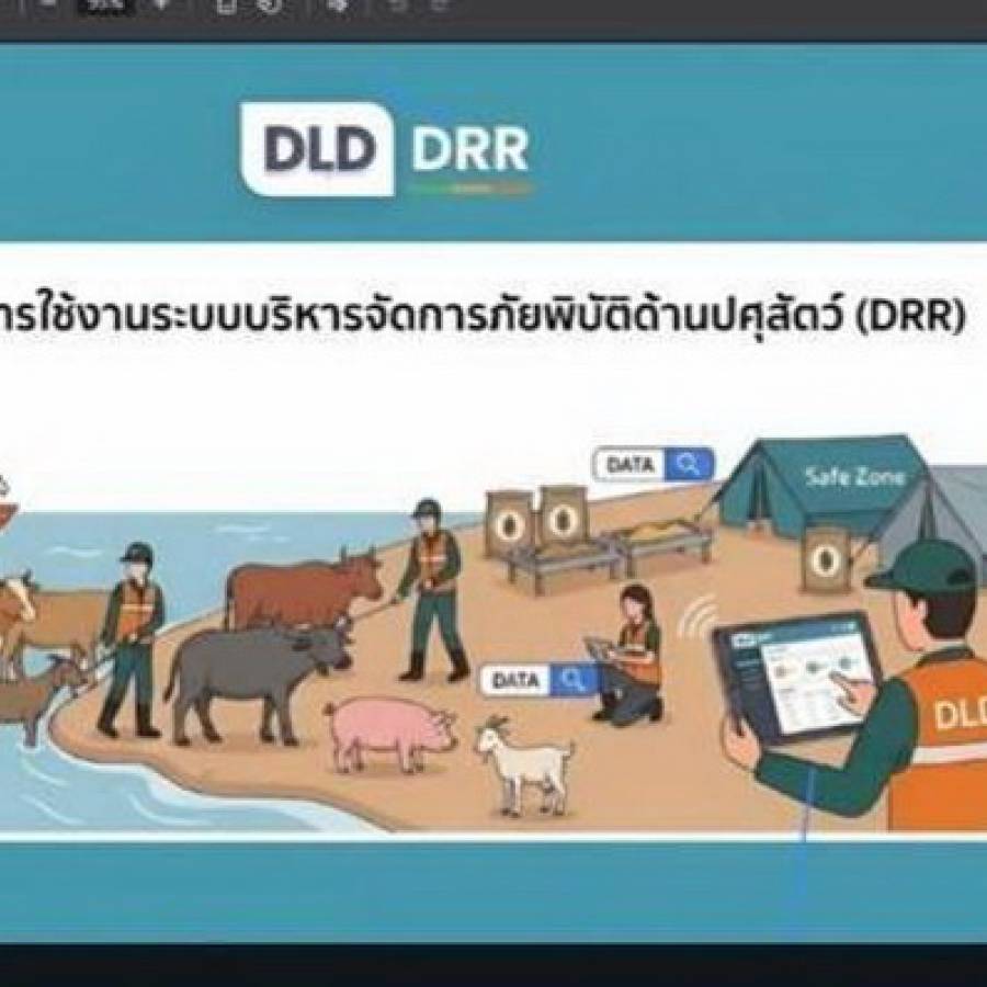 สำนักงานปศุสัตว์เขต 4 ร่วมฝึกอบรมการใช้งานระบบบริหารจัดการภัยพิบัติด้านปศุสัตว์ (DLD DRR)