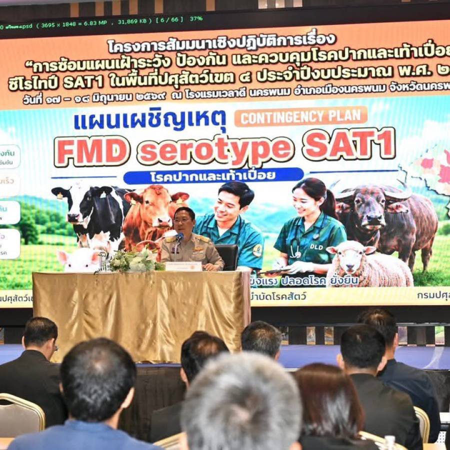 สำนักงานปศุสัตว์เขต 4 จัดโครงการสัมมนาเชิงปฏิบัติการ เรื่อง “การซ้อมแผนเฝ้าระวัง ป้องกันและควบคุมโรคปากและเท้าเปื่อย ซีโรไทป์ SAT1 ในพื้นที่ปศุสัตว์เขต 4 ประจำปีงบประมาณ พ.ศ 2569 
