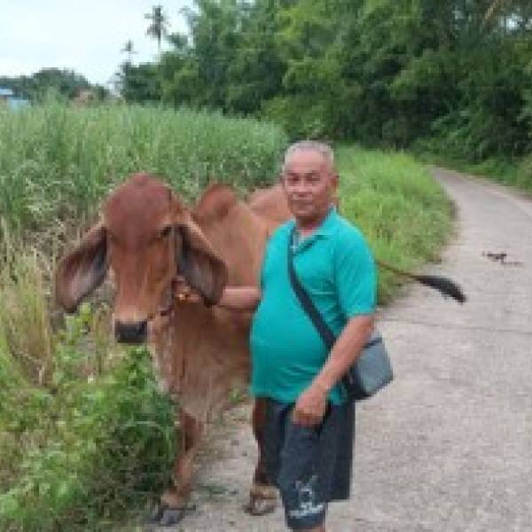 ปศุสัตว์อำเภอบ้านผือ ลงพื้นที่บริการขึ้นทะเบียนและปรับปรุงข้อมูลเกษตรกรเลื้ยงสัตว์นอกสถานที่และให้ความรู้เรื่องการเลี้ยงสัตว์ การสังเกตอาการสัตว์ป่วย