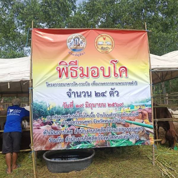 สนง.ปศจ.หนองบัวลำภูส่งมอบแม่โคและจัดทำสัญญายืมเพื่อการผลิตของโครงการธนาคารโค-กระบือเพื่อเกษตรกร ตามพระราชดำริ