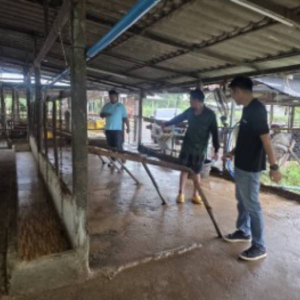ปศุสัตว์จังหวัดอุดรธานี ออกพื้นที่อำเภอกุมภวาปี ดำเนินการตรวจรับรองมาตรฐานฟาร์มโคนม จำนวน 1 ฟาร์ม (บ้านสวนฟาร์ม) ซึ่งผลการตรวจพบข้อบกพร่อง ไม่เป็นไปตามหลักเกณฑ์การปฏิบัติทางการเกษตรที่ดีด้านปศุสัตว์สำหรับฟาร์มโคนมในบางส่วน โดยให้แก้ไขข้อบกพร่องภายใน 7 วัน