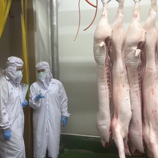 สนง.ปศุสัตว์หนองบัวลำภู “ตรวจติดตามการปฏิบัติตามกฎกระทรวงการประกอบกิจการฆ่าสัตว์ 2564 รอบที่ 2 ปีงบประมาณ 2569 