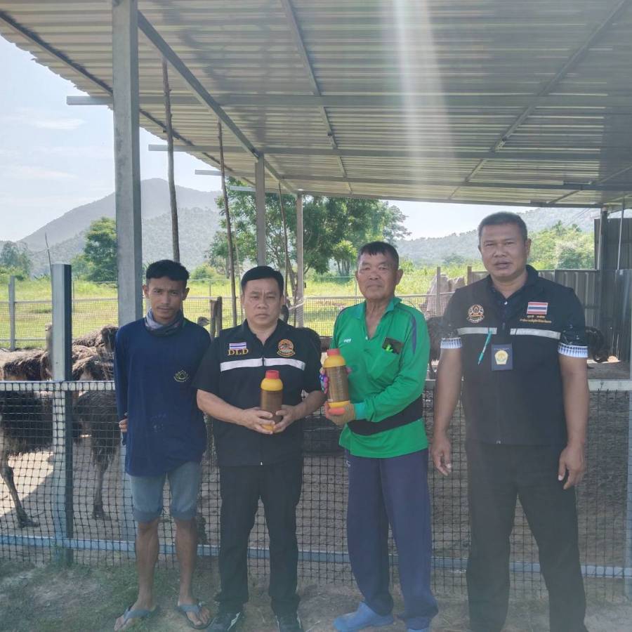 ปศอ.เชียงคาน จ.เลย ตรวจติดตามฟาร์มกรณีนำนกกระจอกเทศเข้ามาเลี้ยงในพื้นที่