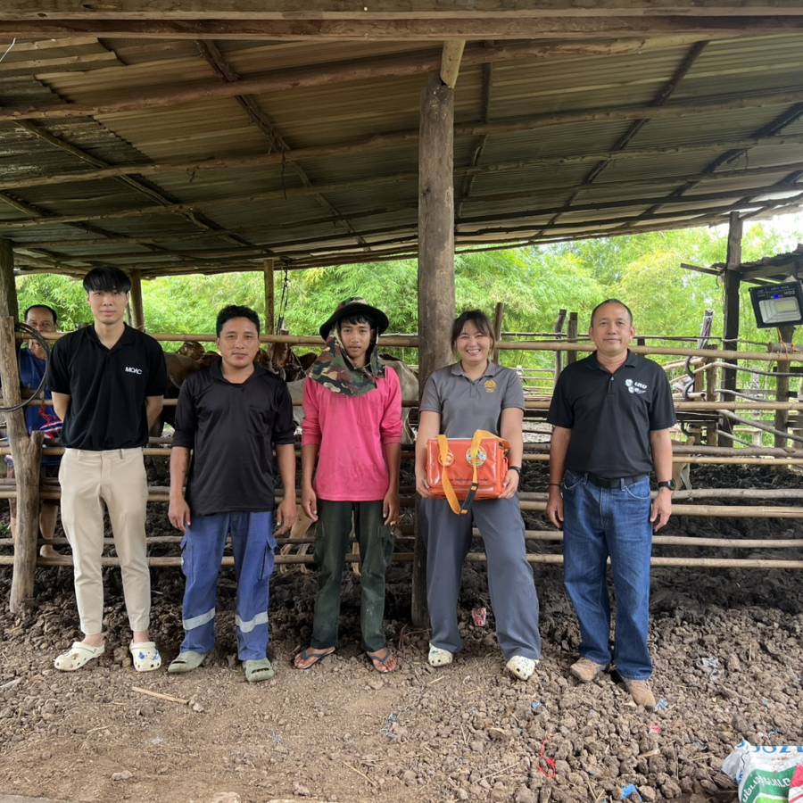 ปศอ.ผาขาว จ.เลย เก็บตัวอย่างเลือดโคเนื้อตามโครงการเฝ้าระวังและทดสอบโรคบลูเซลลา