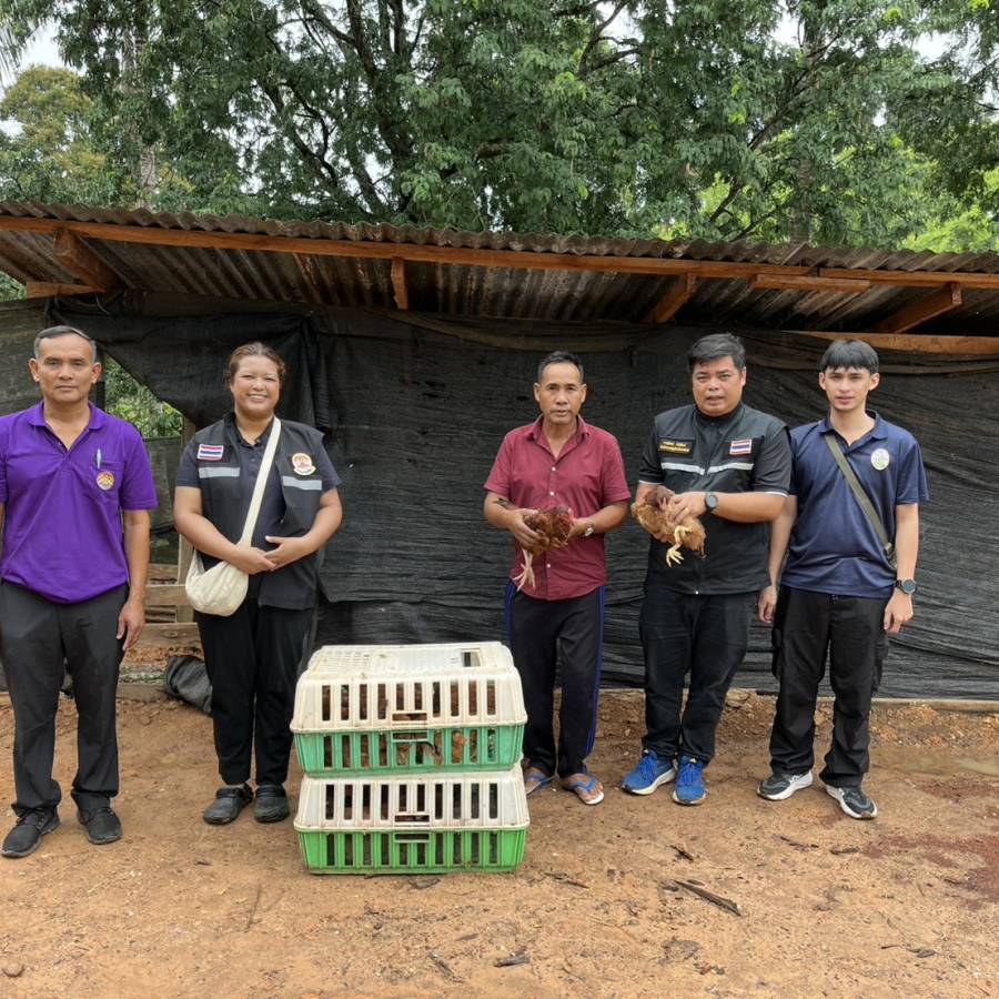 ปศุสัตว์จังหวัดเลย  ร่วมส่งมอบไก่ไข่โครงการเกษตรทฤษฎีใหม่ ปี 2569