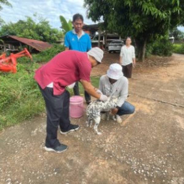ปศุสัตว์อำเภอศรีธาตุ  มอบหมายให้เจ้าหน้าที่สำนักงานปศุสัตว์อำเภอศรีธาตุ ร่วมกับเทศบาลตำบลศรีธาตุ และสำนักงานสาธารณสุขอำเภอศรีธาตุ ร่วมรณรงค์ฉีดวัคซีนป้องกันโรคพิษสุนัขบ้าในสุนัขและแมว และให้ความรู้เรื่องโรคพิษสุนัขบ้า ให้กับประชาชน