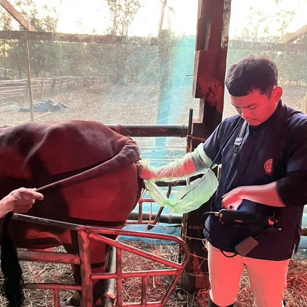 กิจกรรมพัฒนาปรับปรุงพันธุ์สัตว์ขยายสัตว์พันธุ์ดีด้วยเทคโนโลยีชีวภาพและโครงการฟาร์มเครือข่ายผสมเทียมโคเพิ่มรายได้