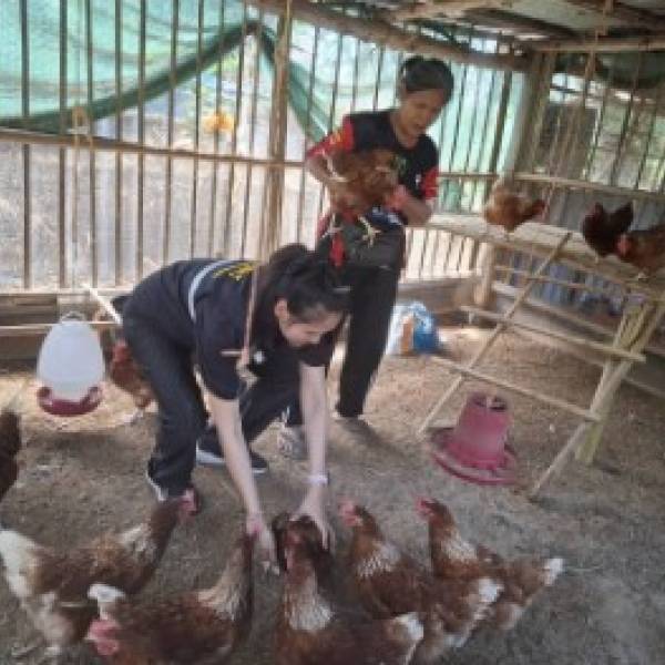 ปศุสัตว์อำเภอหนองแสง ออกพื้นที่ตรวจเยี่ยมเกษตรกรผู้เลี้ยงไก่ไข่ และให้คำแนะนำในการจัดการเลี้ยงดู การป้องกันโรค พร้อมทั้งมอบเวชภัณฑ์และวัคซีนป้องกันโรคนิวคาสเซิลและหลอดลมอักเสบ