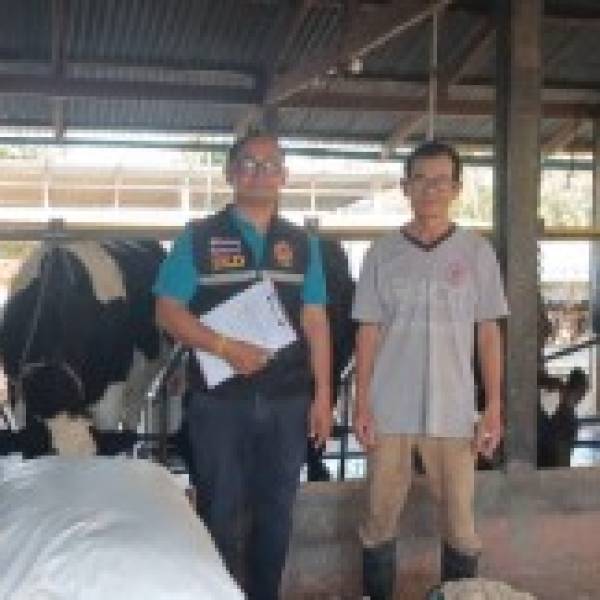 ปศุสัตว์อำเภอไชยวาน ดำเนินการตรวจติดตามมาตรฐานฟาร์มโคนม ตามกิจกรรมตรวจรับรองมาตรฐานฟาร์ม 