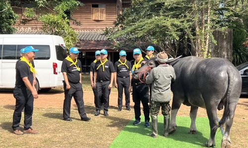 "ร่วมรับ การตรวจเยี่ยมของรองหัวหน้าคณะทำงานฝ่ายอำนวยการของโครงการอนุรักษ์และพัฒนากระบือไทย“