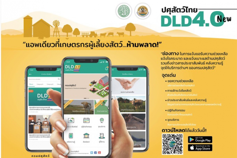 ปศุสัตว์ไทย dld 4.0 new