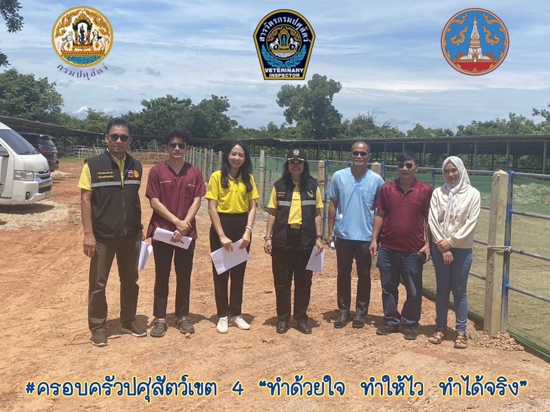 S 85188643 0 resize