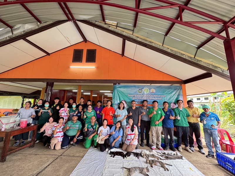 S 22061075 0 resize